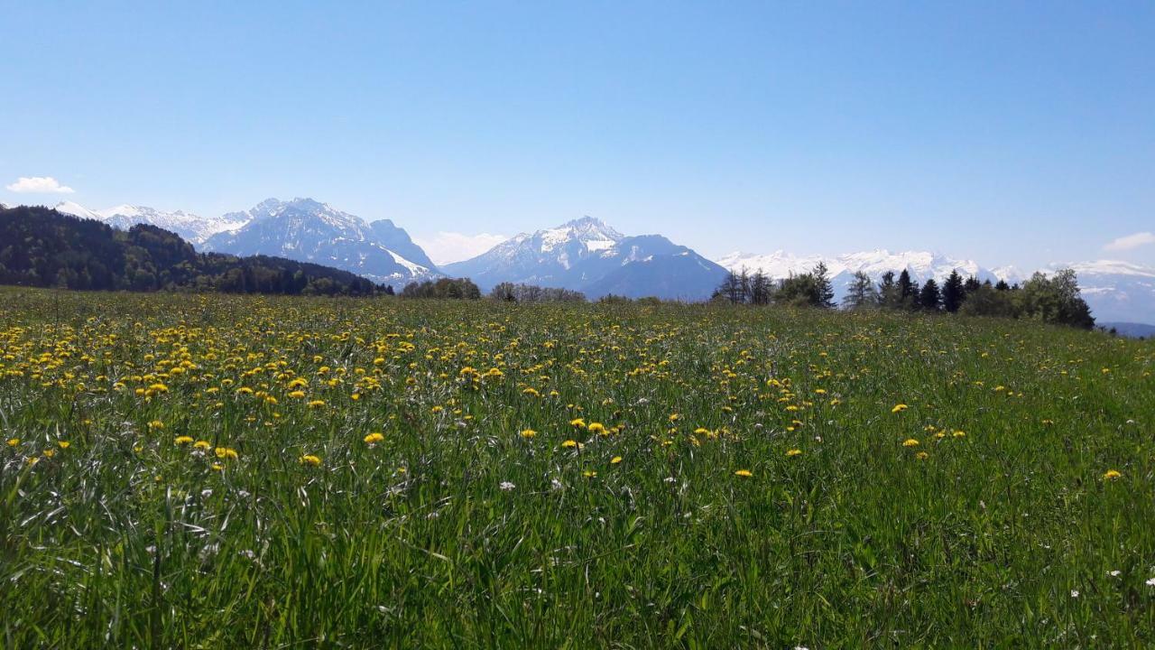 Hoamelig Appartement Batschuns Buitenkant foto